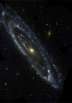 andromedapia04921ga
