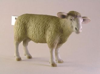 minimoo3
