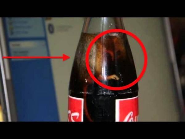 7-cosas-mas-asquerosas-encontradas-en-bebidas-de-coca-cola