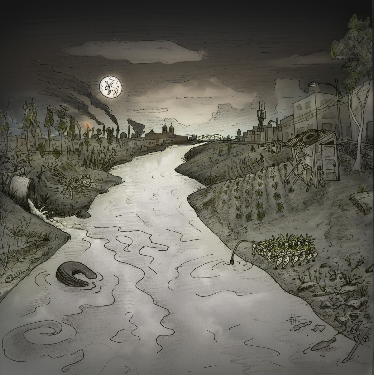 Plantas-N+¦madas-de-Gilberto-Esparza-Premio-VIDA-13.0-®Gilberto-Esparza