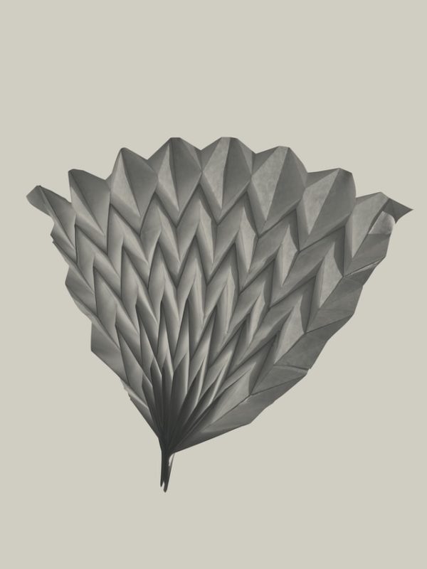 Día Mundial del Origami: cuáles son los más originales y sencillos de hacer abanico