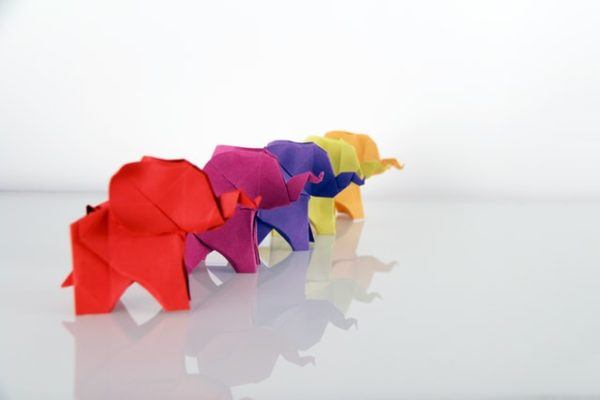 Día Mundial del Origami: cuáles son los más originales y sencillos de hacer elefante