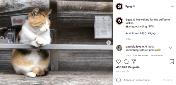 Las 10 mejores cuentas de chistes y memes en Instagram 9Gag