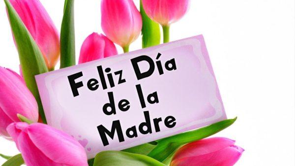 Los mejores mensajes frases para el dia de la madre flores