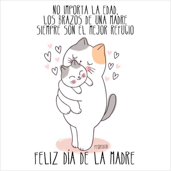 Los mejores mensajes frases para el dia de la madre gatos