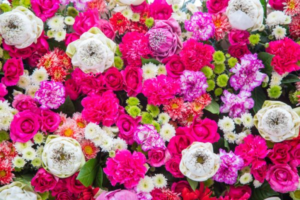 Nombres de flores significado 