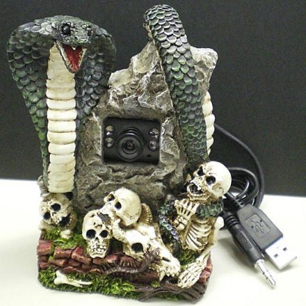 Skull_Web_camera_01